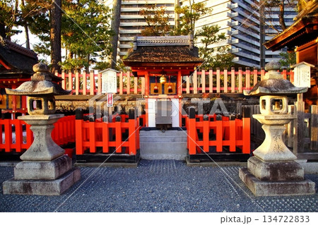 京都府　伏見稲荷大社　藤尾社（舎人親王） 京都市伏見区深草藪之内町　2022 年 2月 134722833