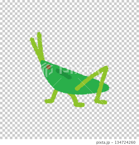 Grasshopper insect observation hand-drawn pastel cute illustration Grasshopper insect observation hand-drawn pastel cute illustration 134724260