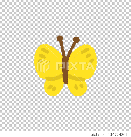 蝶々 虫 春 手描き パステル かわいい イラスト 134724261