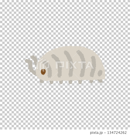 Pillbug insect observation hand-drawn pastel cute illustration 134724262