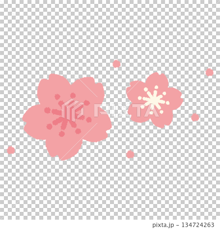 櫻花春花手繪粉彩可愛插畫 櫻花春花手繪粉彩可愛插畫 134724263