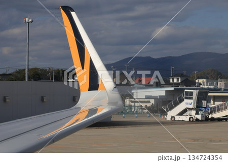 シャークレット 134724354