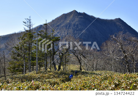 裏摩周外輪山トレイルの景色 134724422