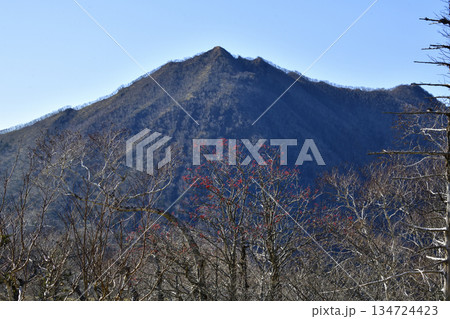 裏摩周外輪山トレイルの景色 裏摩周外輪山トレイルの景色 134724423