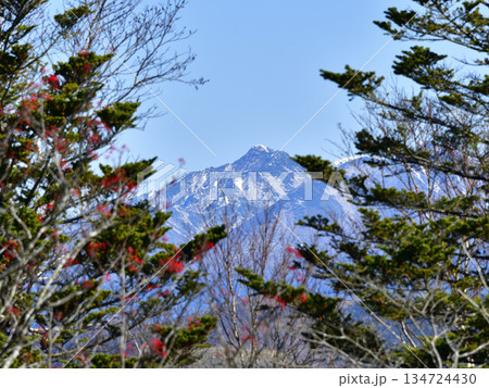 裏摩周外輪山トレイルの景色 裏摩周外輪山トレイルの景色 134724430