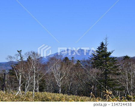 裏摩周外輪山トレイルの景色 裏摩周外輪山トレイルの景色 134724438