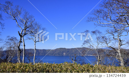 裏摩周外輪山トレイルの景色 134724439