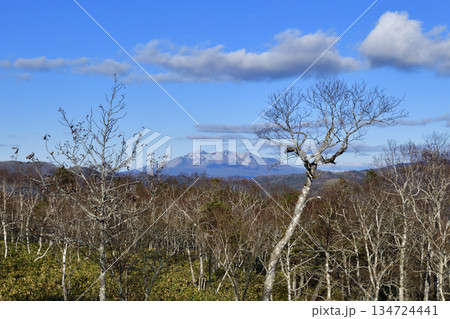 裏摩周外輪山トレイルの景色 134724441