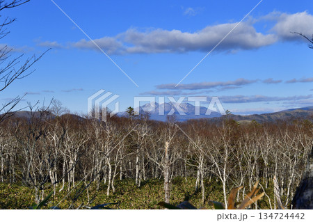 裏摩周外輪山トレイルの景色 134724442