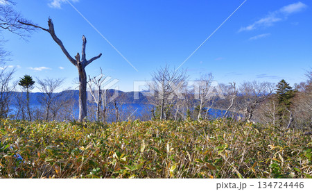 裏摩周外輪山トレイルの景色 134724446