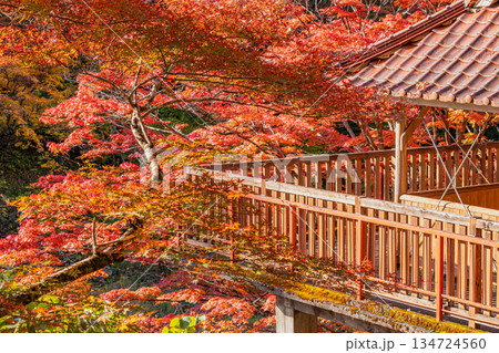 豊田市の大井平公園の風景(愛知県) 134724560