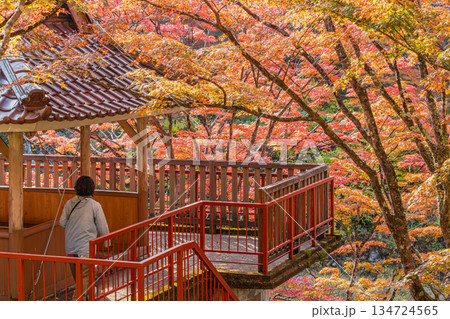 豊田市の大井平公園の風景(愛知県) 134724565