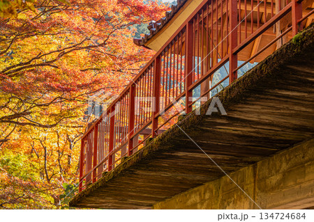 豊田市の大井平公園の風景(愛知県) 豊田市の大井平公園の風景(愛知県) 134724684