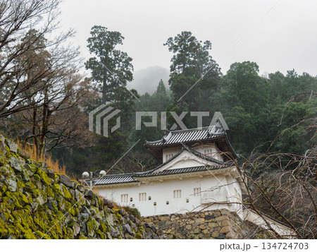 兵庫県豊岡市出石町の出石城址 兵庫県豊岡市出石町の出石城址 134724703