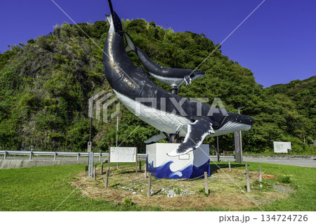 宇佐しおかぜ公園　ジョン万次郎ら漂流出航の浦　クジラモニュメント　高知県土佐市 134724726