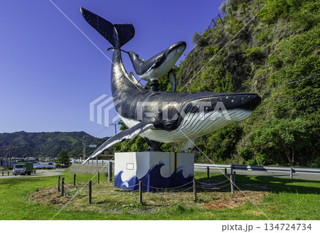 宇佐しおかぜ公園　ジョン万次郎ら漂流出航の浦　クジラモニュメント　高知県土佐市 134724734