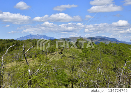 裏摩周外輪山トレイルの景色 134724743
