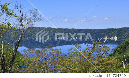 裏摩周外輪山トレイルの景色 134724749