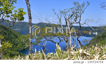 裏摩周外輪山トレイルの景色 134724758