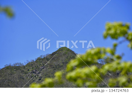 裏摩周外輪山トレイルの景色 裏摩周外輪山トレイルの景色 134724763