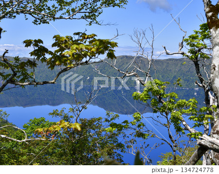 裏摩周外輪山トレイルの景色 134724778