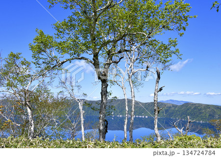 裏摩周外輪山トレイルの景色 134724784