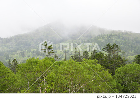 裏摩周外輪山トレイル 134725023