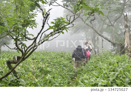裏摩周外輪山トレイル 134725027