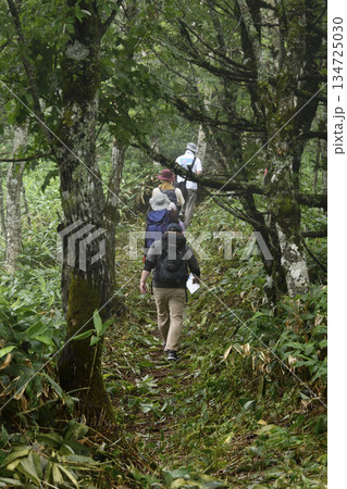 裏摩周外輪山トレイル 134725030