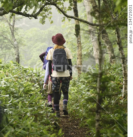 裏摩周外輪山トレイル 134725031