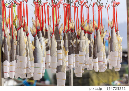 Salted fish dried in the sun on a rack. Salted fish dried in the sun on a rack. 134725231