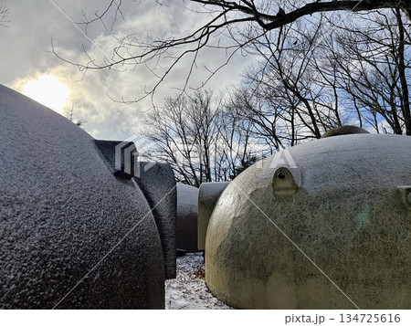 ドームコテージ 134725616