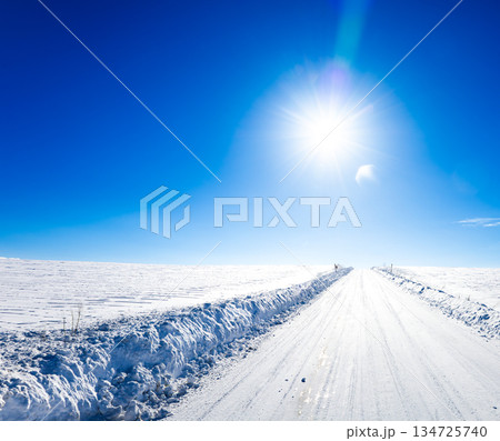 冬の北海道美瑛町の青空と太陽と圧雪アイスバーン道路の風景 134725740