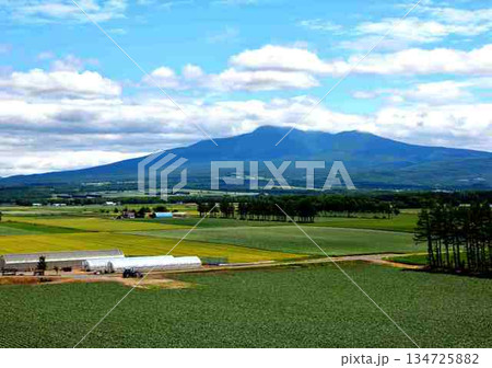 夏の斜里岳と農村景観 134725882