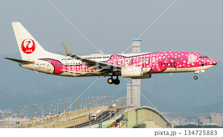 JTA 赤サメ関西連絡橋背景アプローチ 134725883