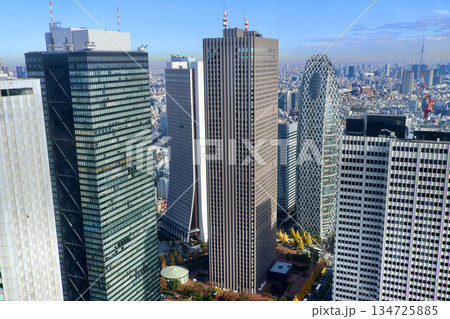 東京都庁からの眺望・新宿副都心(東京都・新宿区) 東京都庁からの眺望・新宿副都心(東京都・新宿区) 134725885