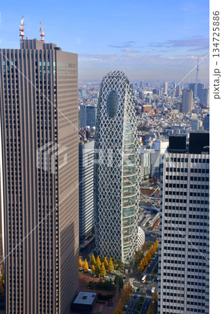 東京都庁からの眺望・新宿副都心（東京都・新宿区） 134725886