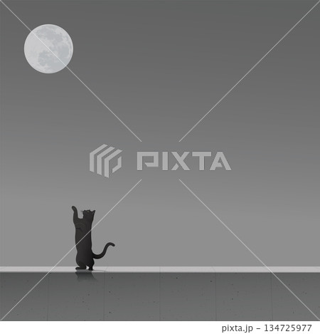 Black cat standing on cement barrier and try to reach out and grab the moon graphic illustration have blank space. 134725977