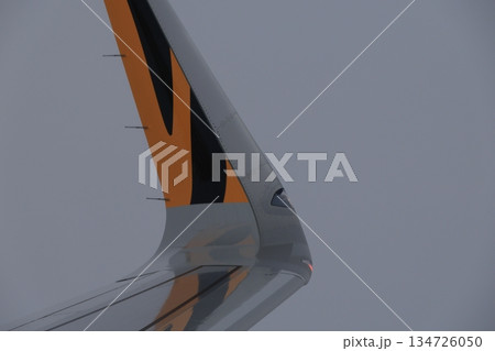 衝突防止灯 134726050