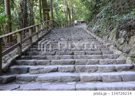 伊勢神宮外宮境内多賀宮前の石段 134726214
