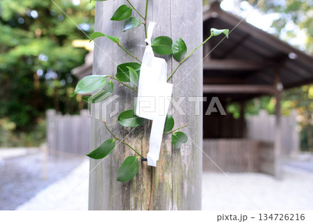 伊勢神宮外宮境内の土宮前鳥居と榊 134726216