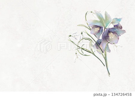 スノードロップとクリスマスローズの花束 134726458