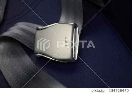 シートベルト 134726479