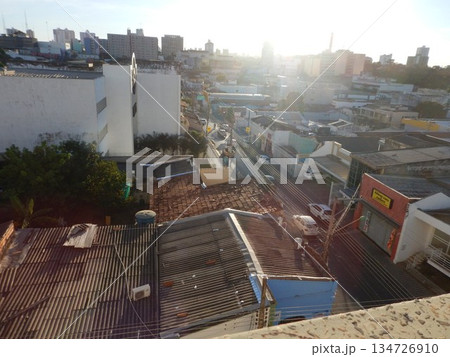 パンタナルの風景 134726910