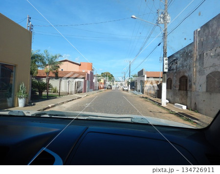 パンタナルの風景 134726911