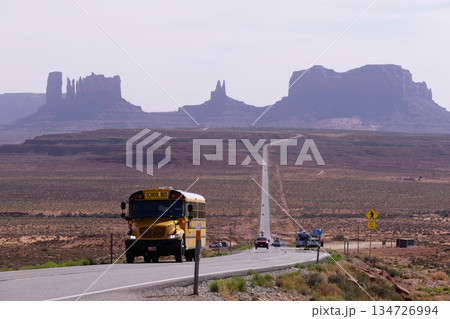 R163のフォレストガンプポイントを走るスクールバス下校時 R163のフォレストガンプポイントを走るスクールバス下校時 134726994