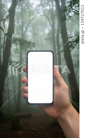 Mockup image of a hand holding mobile phone with white screen over forest background Mockup image of a hand holding mobile phone with white screen over forest background 134727011