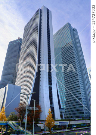 都市風景・副都心ビル(東京都・新宿区) 都市風景・副都心ビル(東京都・新宿区) 134727332