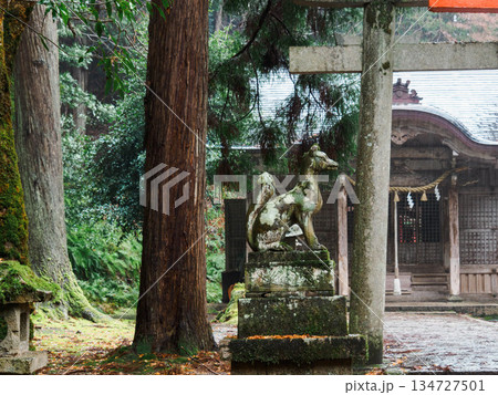 雨の中、兵庫県豊岡市出石町を散策 雨の中、兵庫県豊岡市出石町を散策 134727501