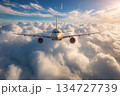 Modern Airplane Soaring Above Clouds in Bright Sunlight 134727739